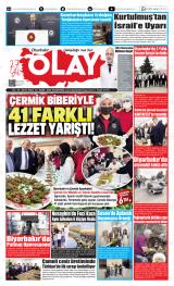 DİYARBAKIR OLAY