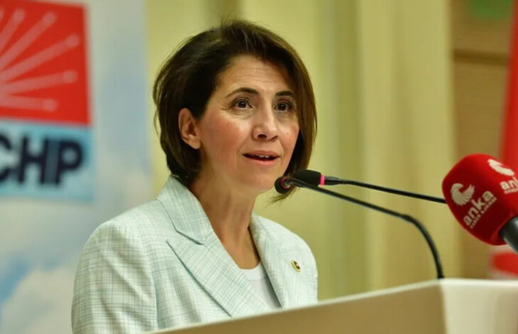 CHP’li Aylin Yaman:“Çalışma Gücü Kaybı ve Emeklilik Düzenlemeleri Mağduriyet Yaratıyor”