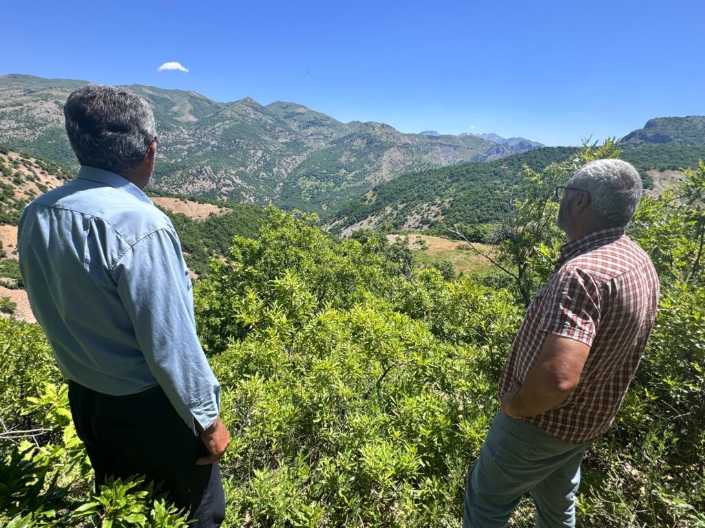 Dersim’de 39 Yıllık Hasret: Boşaltılan Elmali Mezrası Sakinleri Köylerine Dönmek İstiyor