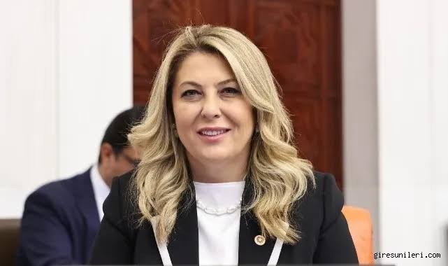 CHP’li Gezmiş’ten TBMM’de engelli hakları vurgusu