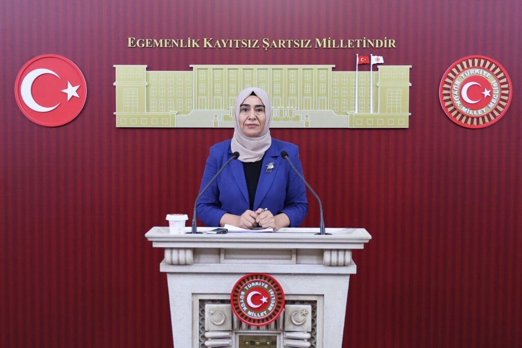 Gülderen Varlı’dan çocuk iş cinayetleri tepkisi: “En az 67 çocuk hayatını kaybetti”