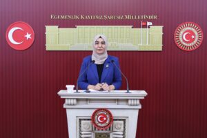 Gülderen Varlı’dan çocuk iş cinayetleri tepkisi: “En az 67 çocuk hayatını kaybetti”
